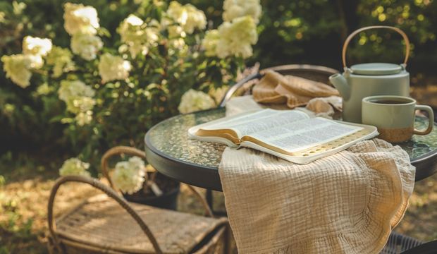 Göğü Delen Adam, Sahip Olmak ya da Olmak