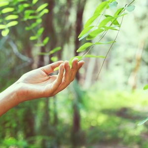 Maliyeti olmayan öz bakım önerileri