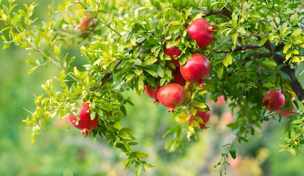 Para enerjini engelleyen görünmez zincirleri kır