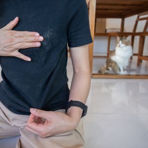 Kedi tüyü insanlar için zararlı mıdır?