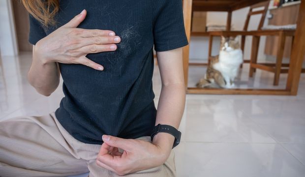 Kedi tüyü zararlı mı? 