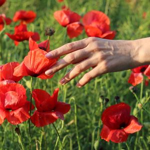 Sade yaşam mutluluğu artırıyor