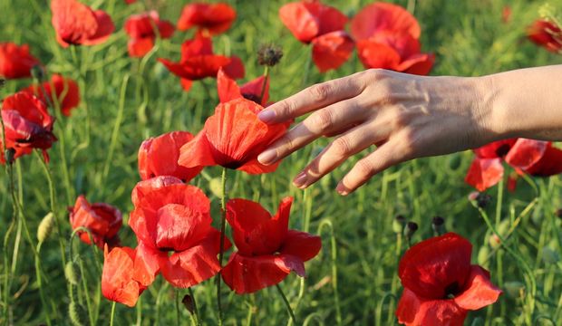 Araştırma: Sade yaşam mutluluğu artırıyor