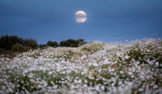 7 Eylül 2025 Balık burcundaki Ay Tutulması'nın burçlara ve yükselen burçlara etkileri