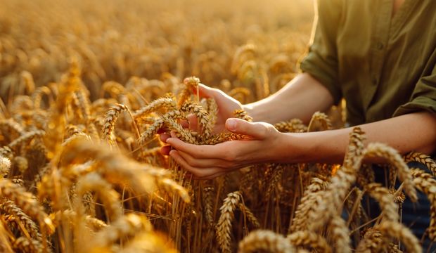 Parayla arandaki sessiz mesajları duyabiliyor musun?
