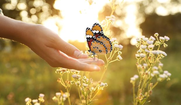 Belki de kendine dönme zamanı gelmiştir