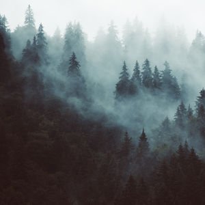 Karanlık havalarda iyi hissetmenin 8 yolu