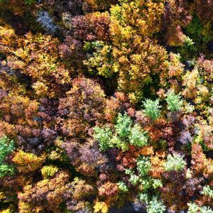 Sonbaharda rengarenk: Geminbeli Geçidi