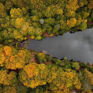 Domaniç Dağları'nda sonbahar