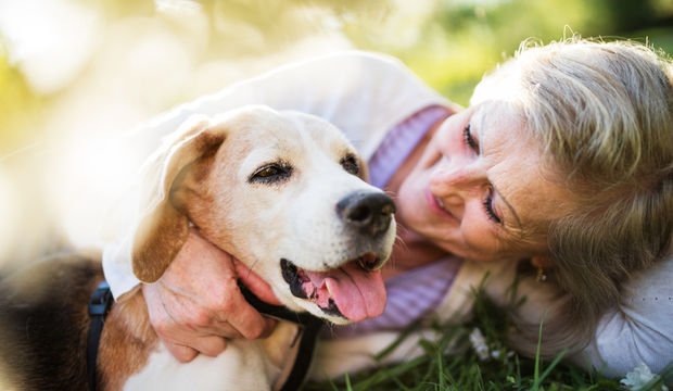 Emekli kadınlar köyü