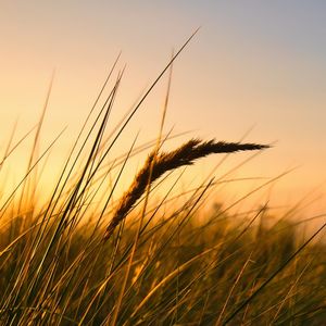 Neden hep aynı yerden kırılıyorsun?