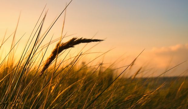 Neden hep aynı yerden kırılıyorsun?
