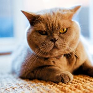 Açken neden daha sinirli oluruz?