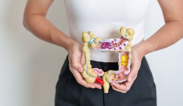 Bağırsaklardaki bakteriler kişiliğimizi etkiler mi?