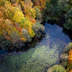 Sonbahar rotası: Yedigöller