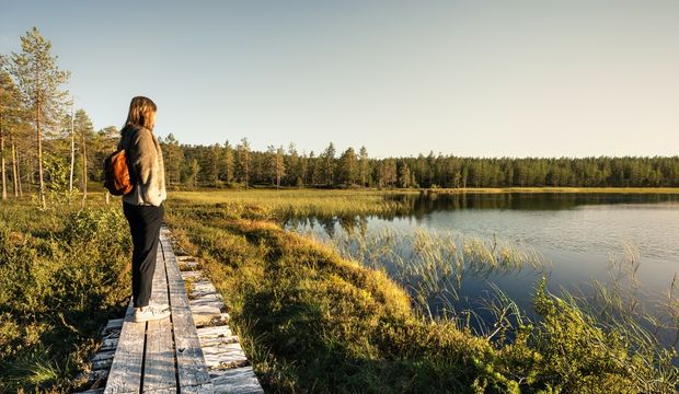İsveç'i ziyaret etmek için 8 geçerli sebep