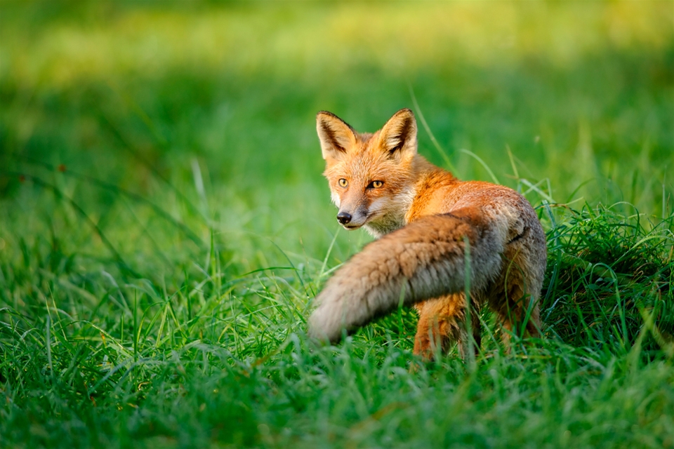Küçük hesaplar yapan biri misiniz?