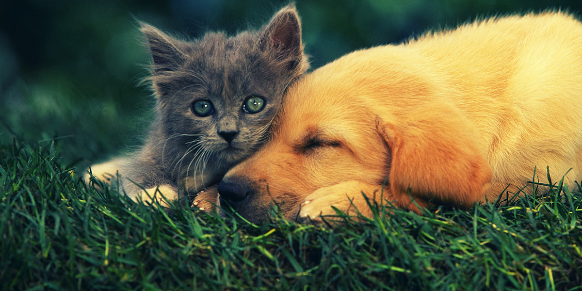 İyi bir arkadaş mısınız?